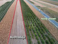 Neradin, Okolne lokacije, Irig | 4zida.rs