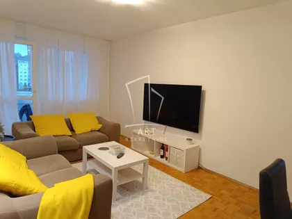 Dr Ivana Ribara | 4zida.rs