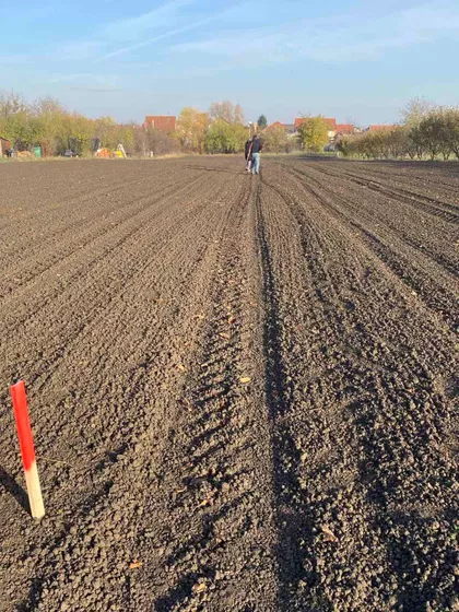 Misa Vinogradi | 4zida.rs