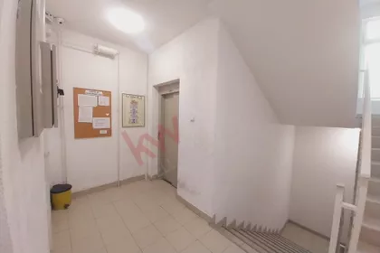 Žarka Vasiljevića | 4zida.rs
