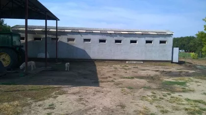 Bajski put | 4zida.rs