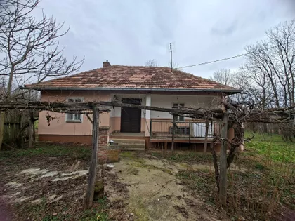 Karađorđeva | 4zida.rs