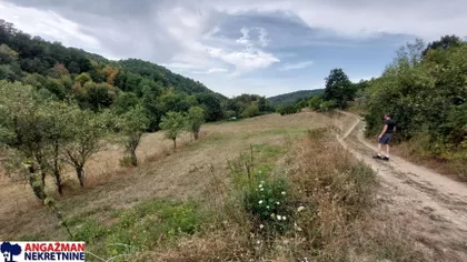 Svetosavska | 4zida.rs