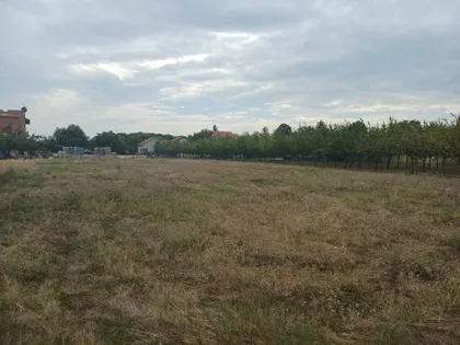Kajmakčalanska | 4zida.rs