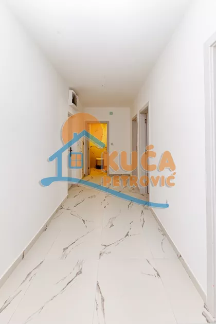 Vase Pelagića | 4zida.rs