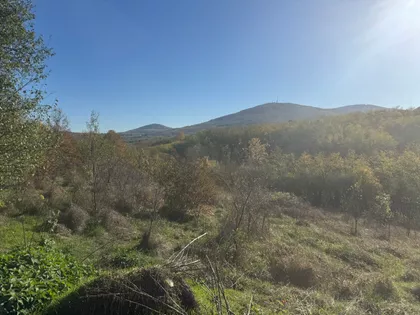 Nemenikuće | 4zida.rs