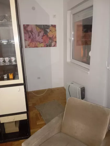 Vase Pelagića | 4zida.rs