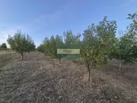 Siokovac, Okolne lokacije, Jagodina | 4zida.rs