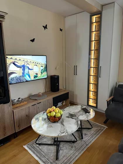 Spasenije Cane Babović | 4zida.rs