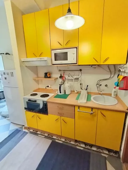 Kneginje Zorke | 4zida.rs