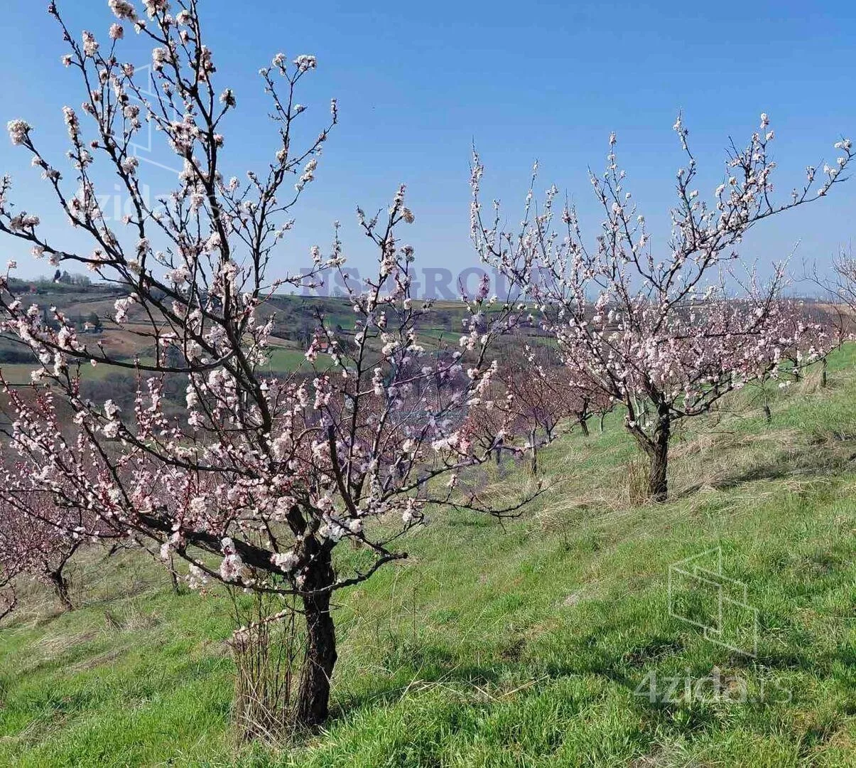 Poljoprivredno zemljište | 4zida
