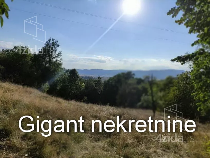 Plac | 4zida