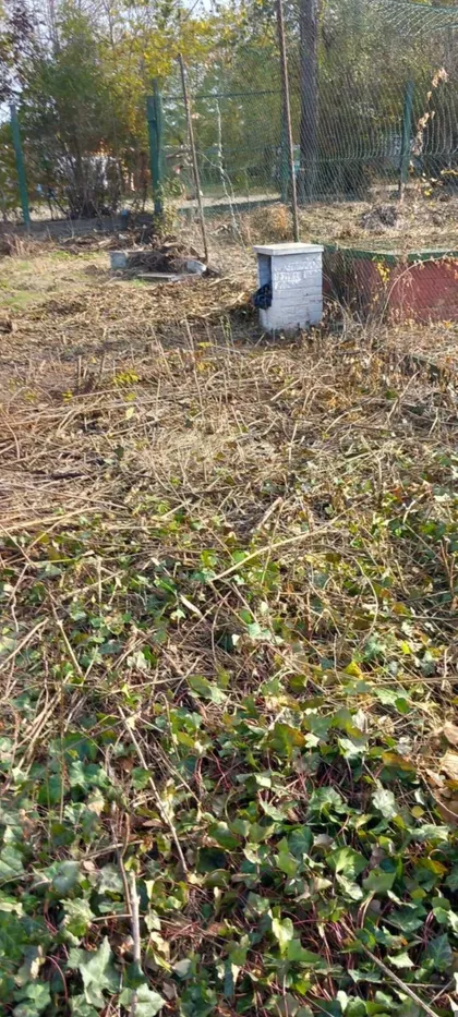 Štrosmajerova 38 | 4zida.rs