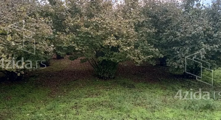 Poljoprivredno zemljište | 4zida