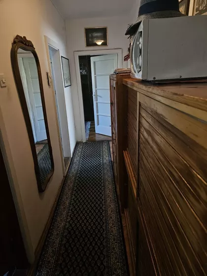 Luja Adamiča | 4zida.rs