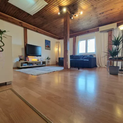 MILUTINA BOJICA | 4zida.rs