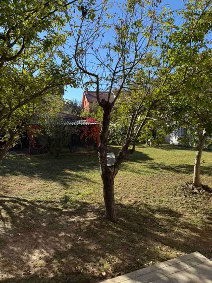 Belih Vila 8 | 4zida.rs