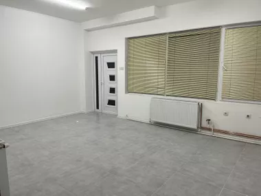 Temerin - centar