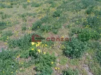 Zorka, Gradske lokacije, Subotica | 4zida.rs