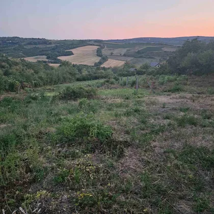 Stari Beogradski Put | 4zida.rs