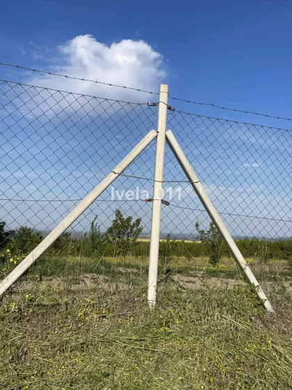 Vilina Strana | 4zida.rs