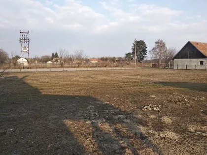 Srpski Šor | 4zida.rs