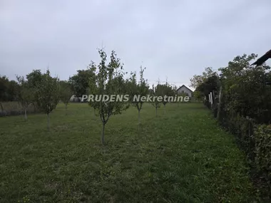 Boljevci