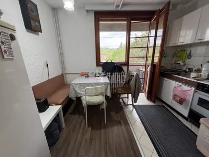 Jelke Bojkić Makavejev | 4zida.rs