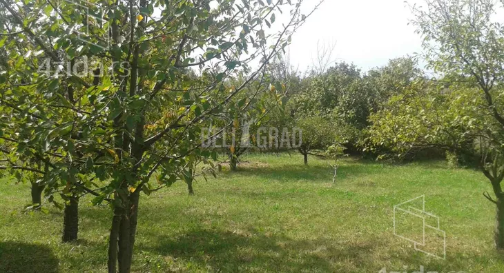 Plac | 4zida