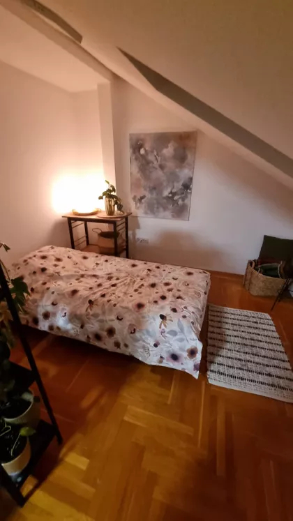 Cara Lazara | 4zida.rs