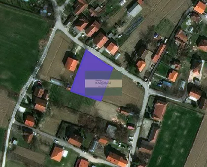 Kolonija | 4zida.rs