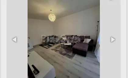 Dr Ivana Ribara | 4zida.rs