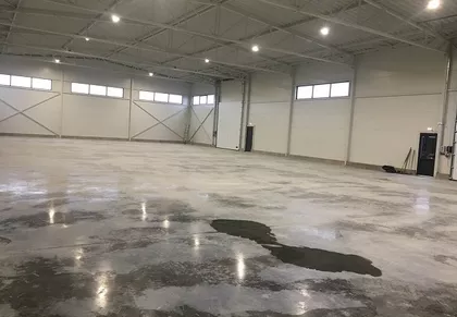 PUT ZA OVČU | 4zida.rs