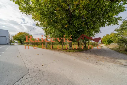 Patrijarha Pavla | 4zida.rs