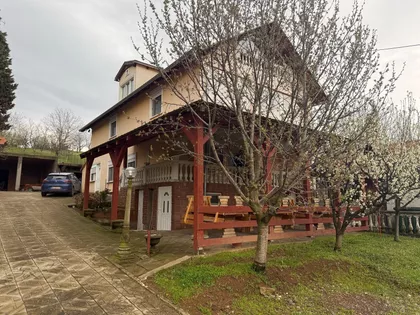 Dunja | 4zida.rs