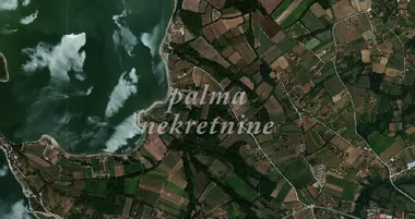 Knić