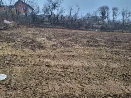 Sonje Marinković | 4zida.rs