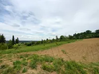 Ledinci, Okolne lokacije, Novi Sad | 4zida.rs