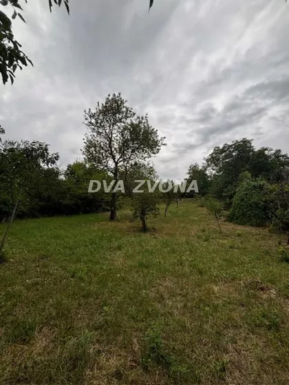 Čortanovci | 4zida.rs