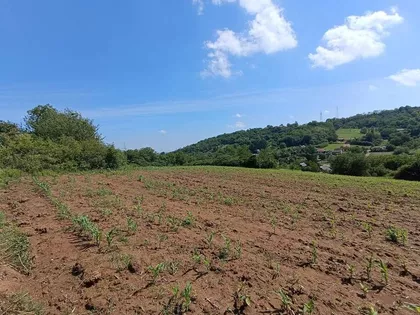 Kameničke Livade | 4zida.rs