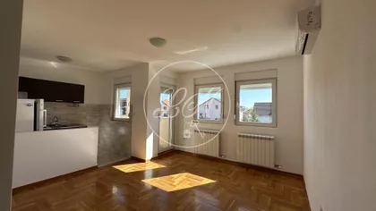 Majora Zorana Radosavljevića | 4zida.rs