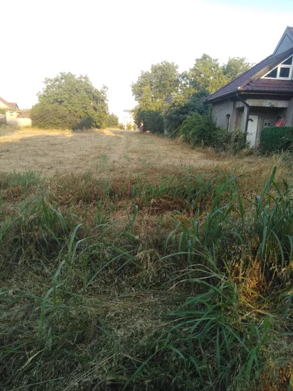 Marka Peričina-Kamenjara | 4zida.rs