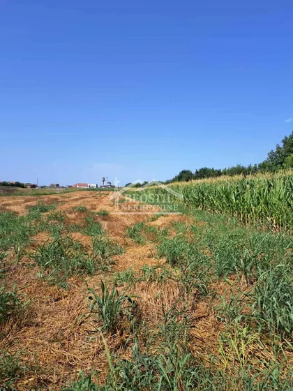 Plavi Horizonti | 4zida.rs