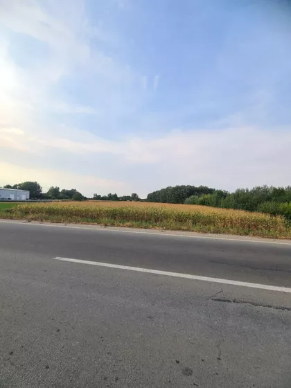 Belopoljska | 4zida.rs