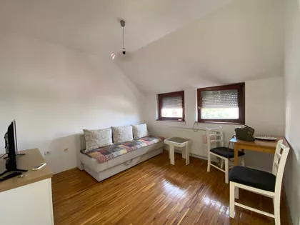 Dr Svetislava Kasapinovića | 4zida.rs