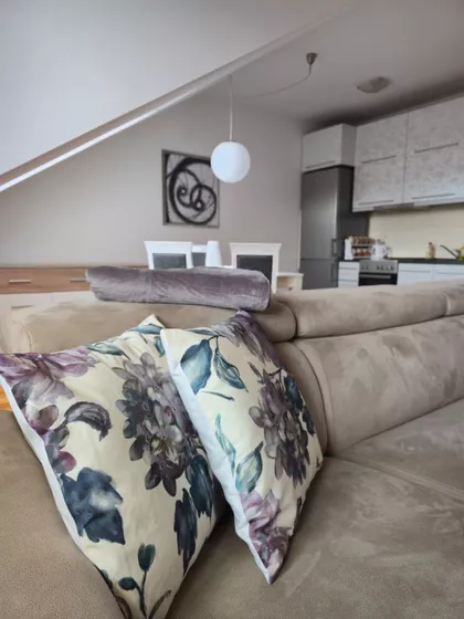 Đorđa Rajkovića | 4zida.rs