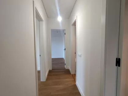 Đorđa Ognjanovića | 4zida.rs