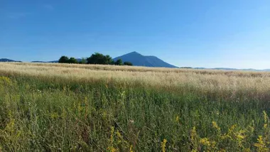 Valakonje | 4zida.rs