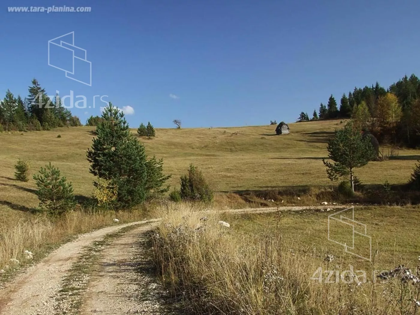 Plac | 4zida