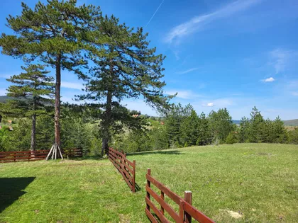 Sainovina | 4zida.rs